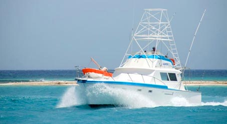 Gvadalupe Boat, Yacht & Fishing Charters